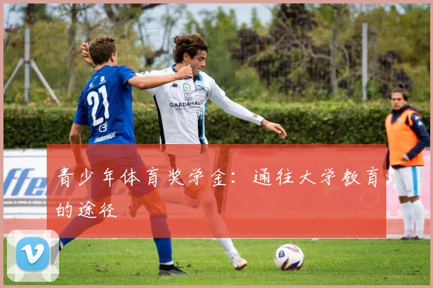 青少年体育奖学金：通往大学教育的途径